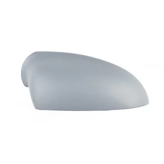 Revêtement, rétroviseur extérieur BSG OEM 13265452