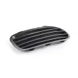 Grille de ventilation, pare-chocs BSG [BSG 65-922-019]