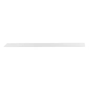 Baguette et bande protectrice, porte arrière gauche BSG BSG 65-924-008