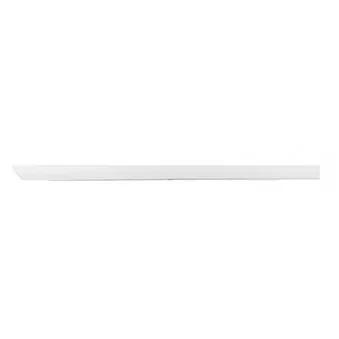 Baguette et bande protectrice, porte arrière droit BSG BSG 65-924-009