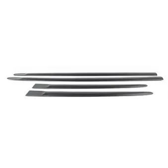 Baguette et bande protectrice, porte BSG OEM 5171015