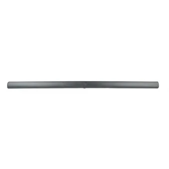 BSG BSG 65-925-014 - Baguette et bande protectrice, porte avant droit 
