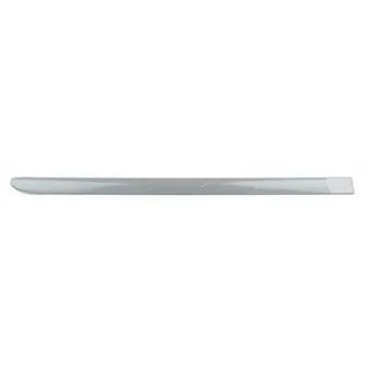 Baguette et bande protectrice, porte arrière droit BSG OEM 9118586