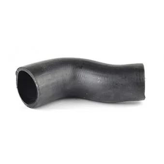 Gaine de suralimentation BSG OEM 1359961080