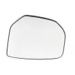BSG BSG 70-910-001 - Verre de rétroviseur, rétroviseur extérieur