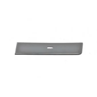Baguette et bande protectrice, aile arrière droit BSG OEM 8547Z0