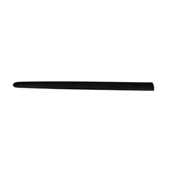 BSG BSG 70-924-009 - Baguette et bande protectrice, porte avant droit 