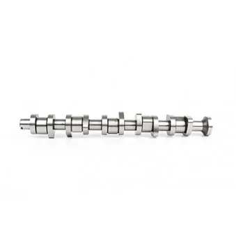 Arbre à came BSG OEM 070109101P