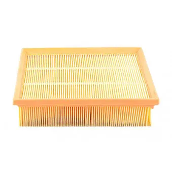 Filtre à air BSG OEM 5025136