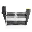 BSG BSG 90-535-002 - Intercooler, échangeur