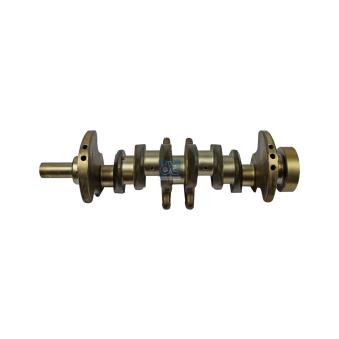 Vilebrequin DT OEM 6110310201