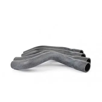Durite de radiateur BSG OEM 0371121063A