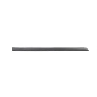 Baguette et bande protectrice, porte arrière droit BSG OEM 1J4853754B41