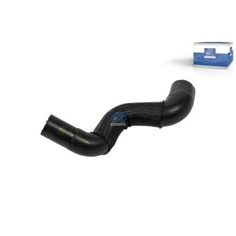 Durite de radiateur DT OEM 6112030582