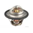 HERTH+BUSS JAKOPARTS J1531039 - Thermostat d'eau