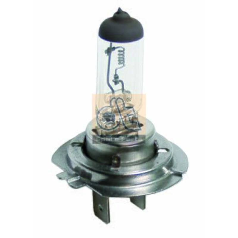 Ampoule, projecteur principal DT 9.78105 - Visuel 2