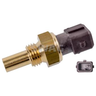 Sonde de température, liquide de refroidissement SWAG [20 93 6416]