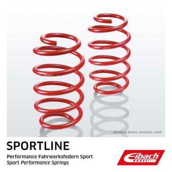 Jeu de suspensions, ressorts EIBACH E20-75-001-01-20