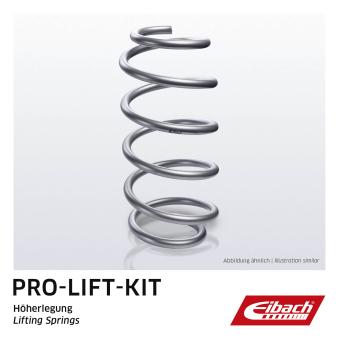 Ressort de suspension EIBACH F31-63-028-01-RA