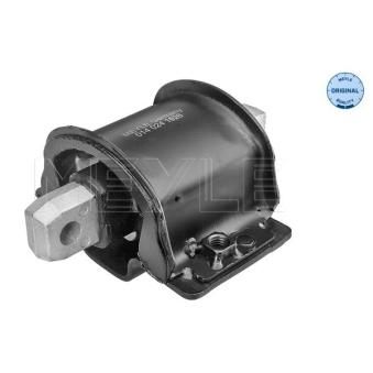 Suspension, boîte automatique MEYLE OEM A2022400418