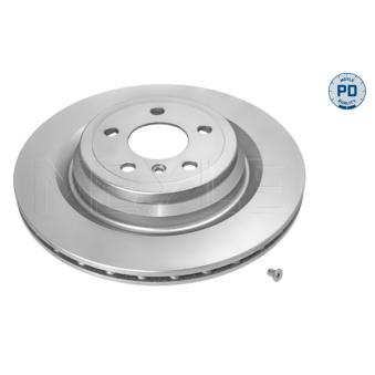 Jeu de 2 disques de frein arrière MEYLE OEM 1664230600