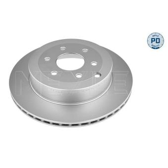 Jeu de 2 disques de frein arrière MEYLE OEM 432065XA0A