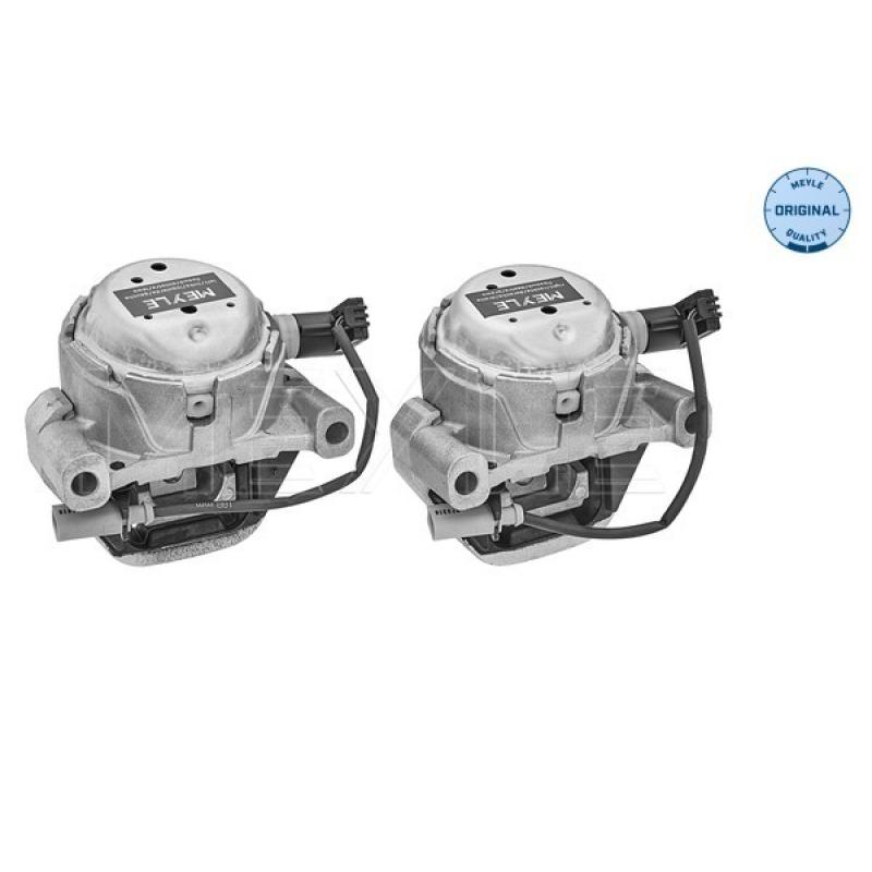 Support moteur MEYLE 100 199 3101/S - Visuel 1