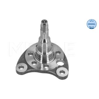 Fusée d'essieu, suspension de roue arrière gauche MEYLE 100 501 0012 pour HYUNDAI TRAJET 1.9 TDI - 110cv