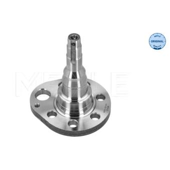 Fusée d'essieu, suspension de roue arrière droit MEYLE 100 501 0036 pour HYUNDAI TRAJET 1.9 TDI - 110cv