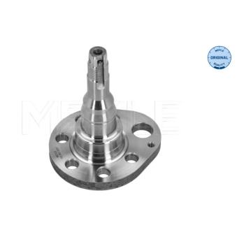 Fusée d'essieu, suspension de roue arrière gauche MEYLE 100 501 0037 pour HYUNDAI TRAJET 1.9 TDI - 110cv