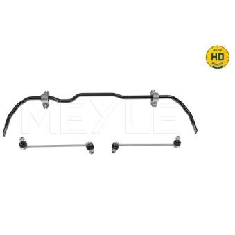 Stabilisateur, chassis MEYLE [100 653 0009/HD]