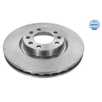 Jeu de 2 disques de frein avant MEYLE OEM 9675223380