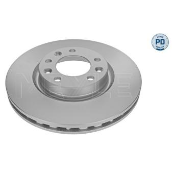 Jeu de 2 disques de frein avant MEYLE OEM 9675223380