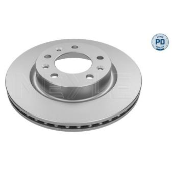 Jeu de 2 disques de frein arrière MEYLE OEM 1610704680