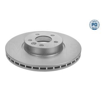 Jeu de 2 disques de frein avant MEYLE OEM 1108038