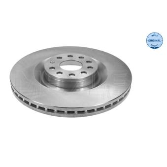 Jeu de 2 disques de frein avant MEYLE OEM 1K0615301M