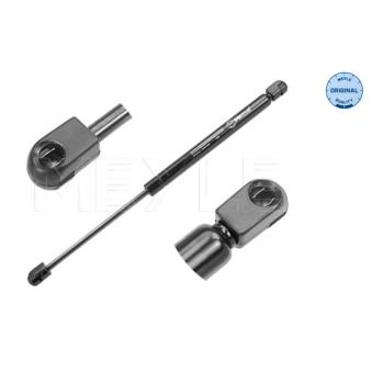 Vérin de hayon, de coffre MEYLE [140 910 0020]