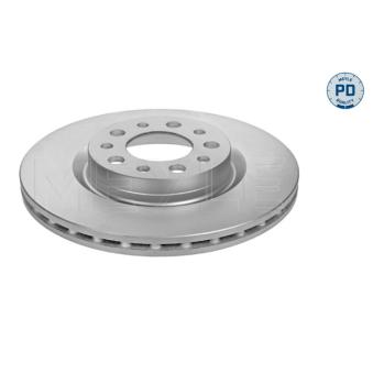 Jeu de 2 disques de frein arrière MEYLE OEM 51760274