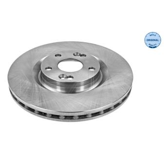 Jeu de 2 disques de frein arrière MEYLE OEM 7701206673