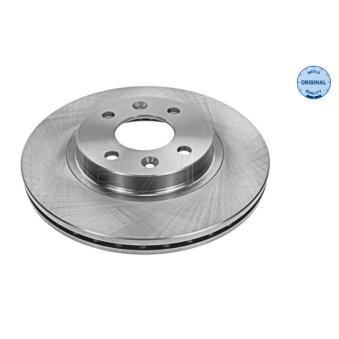 Jeu de 2 disques de frein avant MEYLE OEM 7700780892