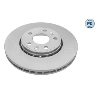 Jeu de 2 disques de frein avant MEYLE OEM 402066813R Jeu de 2 disques de frein avant MEYLE OEM 402066813R