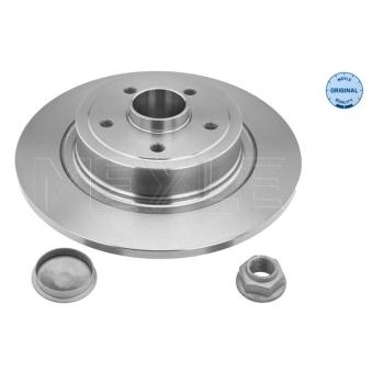 Jeu de 2 disques de frein arrière MEYLE OEM 8200639543