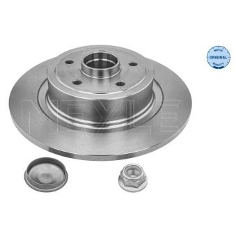 Jeu de 2 disques de frein arrière MEYLE OEM 8200266043