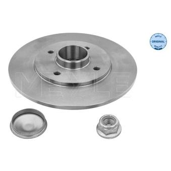 Jeu de 2 disques de frein arrière MEYLE OEM 7701207611