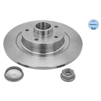 Jeu de 2 disques de frein arrière MEYLE OEM 402020536R