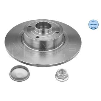 Jeu de 2 disques de frein arrière MEYLE OEM 7701207898