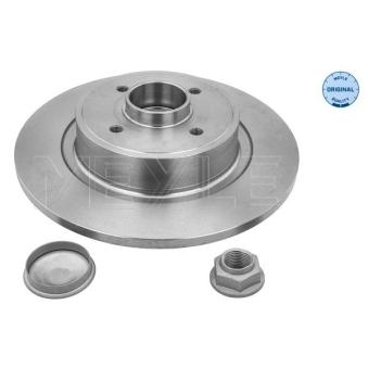 Jeu de 2 disques de frein arrière MEYLE OEM 7701208230