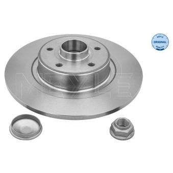 Jeu de 2 disques de frein arrière MEYLE OEM 8200244108