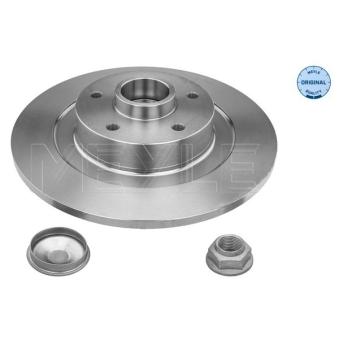 Jeu de 2 disques de frein arrière MEYLE OEM 432000015R