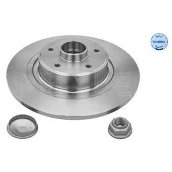 Jeu de 2 disques de frein arrière MEYLE OEM 8200663193
